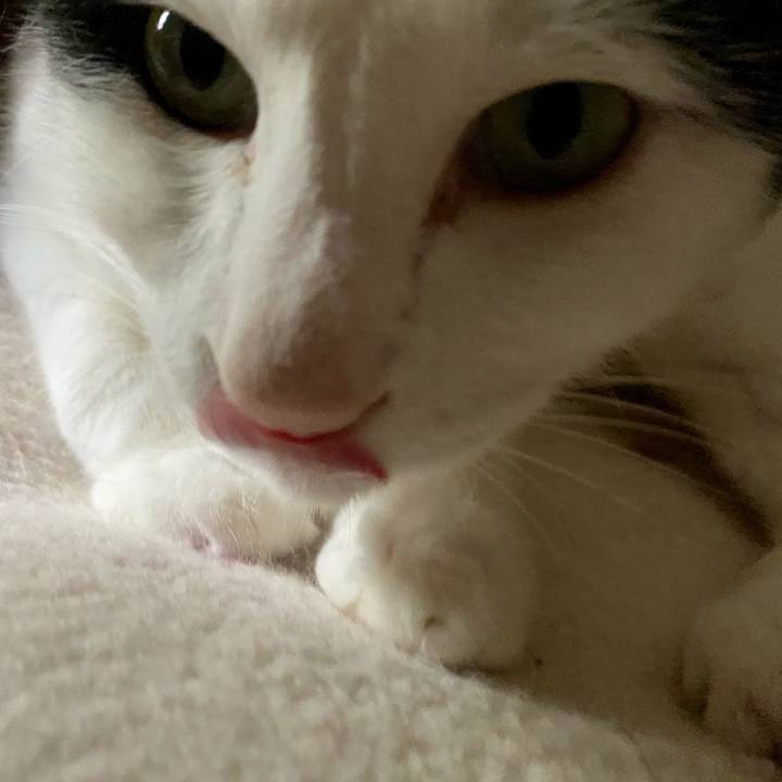 48b63ee0 52da 4b07 85ed f7b1909a1397 1623470262440