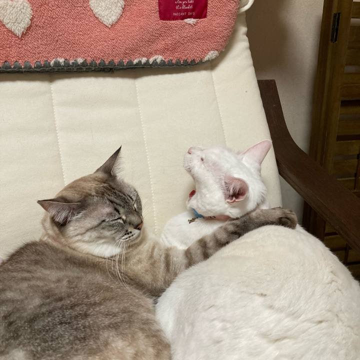 48b6506b c191 4f31 8388 ca1e90b304d9 1670687563911