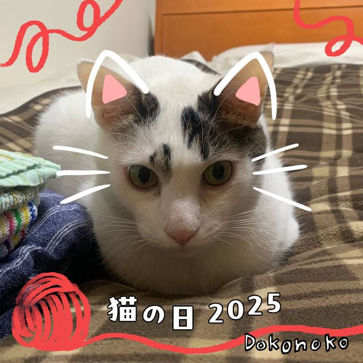 48b66002 b809 4d1c 9926 7006c4a303ae 1740193412551