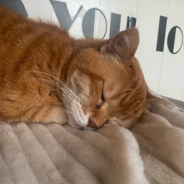 48b69384 8cd1 46e3 b3b6 5e0c0ebfabad 1717290059890