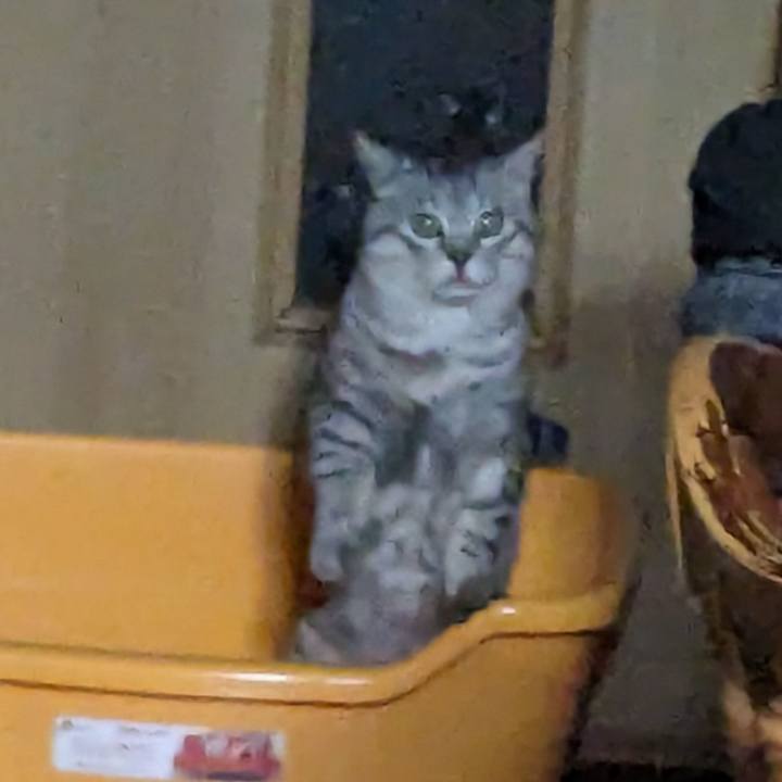 48b69401 ba94 42f7 829c 82c8a83fa79f 1714913535392