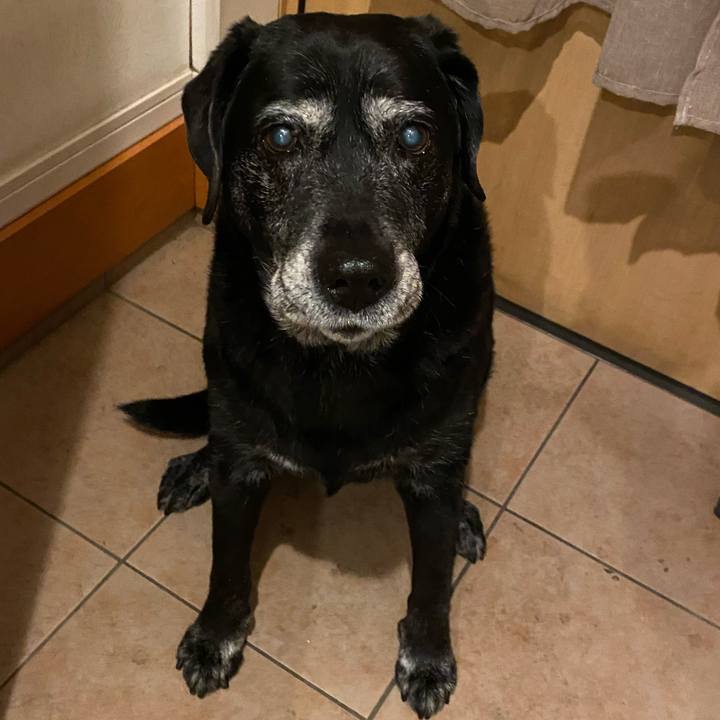 48b6e9cf 1473 4a9f 819b ba9ad858e105 1702161354625