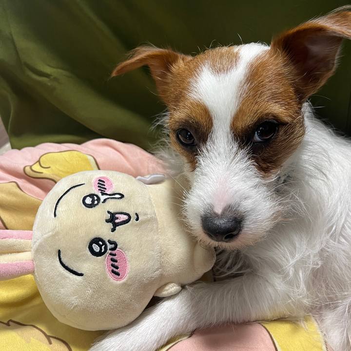 48b6ea25 6306 4c4d bded 932447a96089 1763438035007