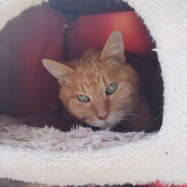 48b70e38 2415 4b71 87c5 94104637cb3f 1712890426720