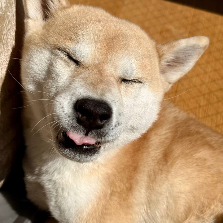 48b7239f 57d4 4ecb a131 3860b43b6464 1771733085595