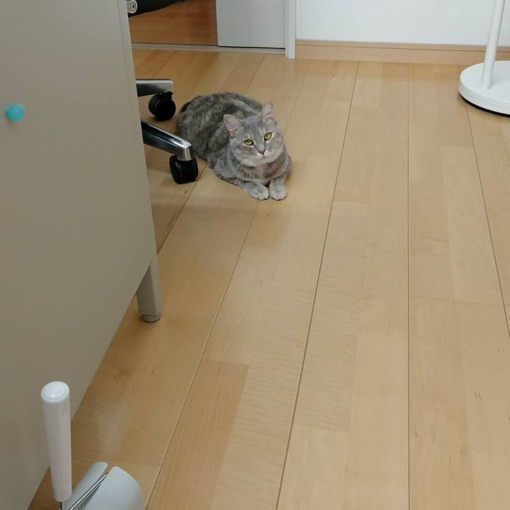 48b7b2e2 534c 4c4e 837c 0ed1e8ad1192 1530155970222