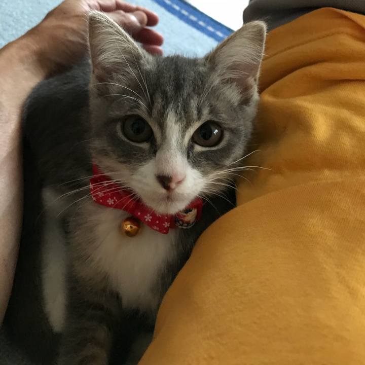 48b7d383 5ad2 48f4 912c 2eaf1a07c9ae 1530742829441