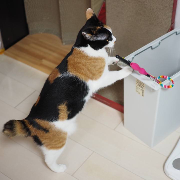 48b7dbcd bf2a 45ab 98c1 f30a4238c1e7 1522833737035