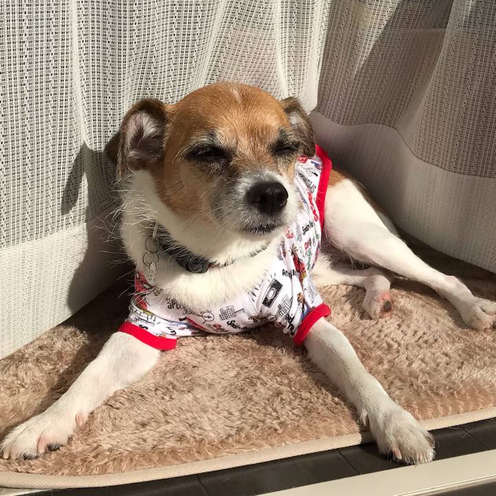 48b7fddb 8a6f 4506 a367 37e434a5db4b 1540094645162