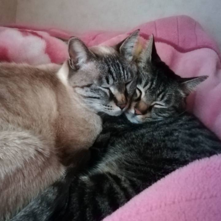 48b812e3 7594 4eea 9dfa 84ff48a6ab49 1549924202893