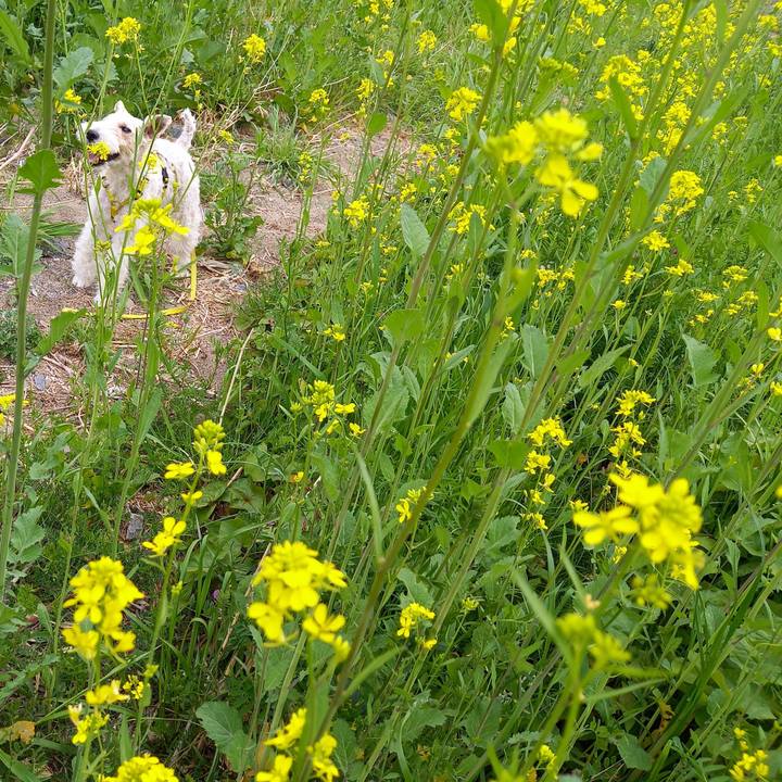 48b81fe6 dc16 4204 b681 4dc2e88bd6b3 1648888526273