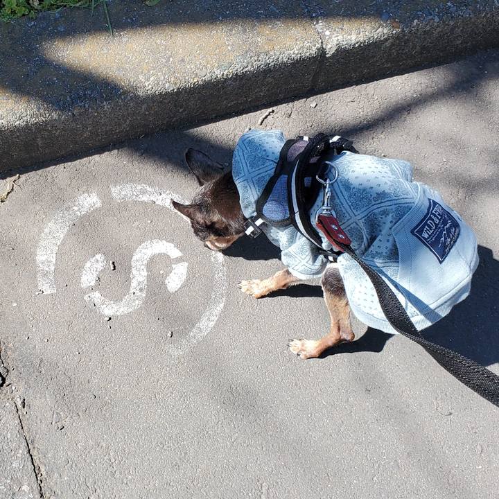 48b8380a 22a8 43ea 906b 33ec3e537ea7 1710216576943