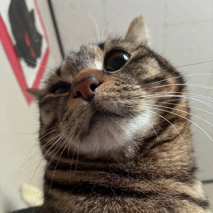 48b8572b 6e4b 40e4 8370 2fb297793b03 1774903946270