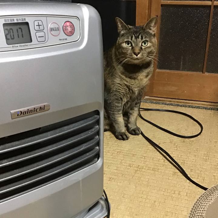 48b862f4 58bc 41fe a422 e523fcc33830 1735031126699