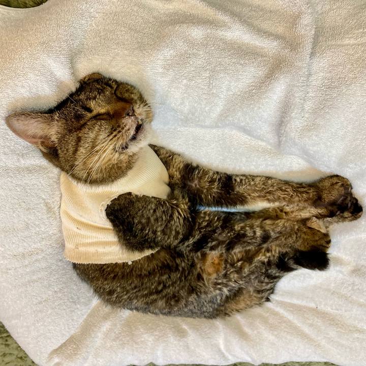 48b88704 756e 4769 9128 40b8c3150a0a 1688465847356