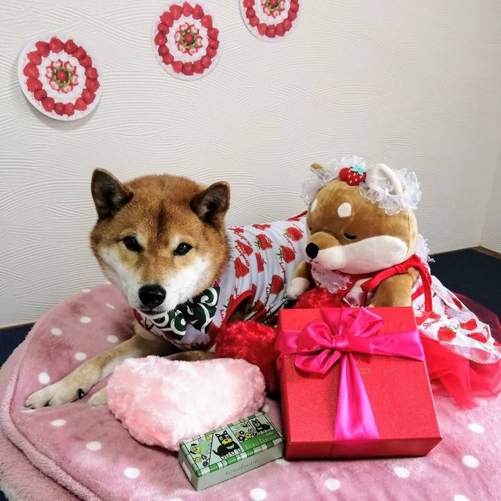 48b8ad8c c62e 4513 a901 cc9327ad52ab 1581672576449