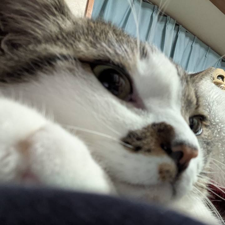 48b8ae44 7230 4d9b 9d7e 5837f8752222 1743509898811