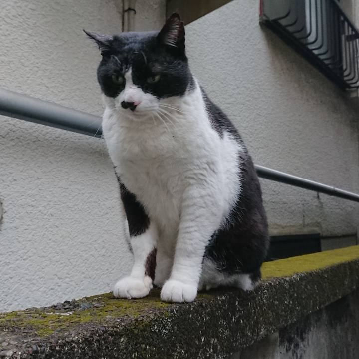 48b8b4d6 5220 4d0b 8e13 bccb1b6d33a6 1583795479916