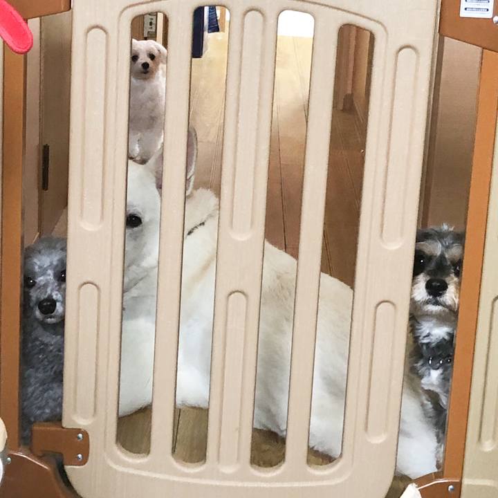 48b8bc7f 3a7b 420a 8fb0 c8cb6db6f485 1562849540052