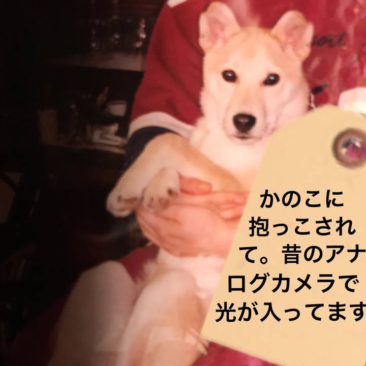 48b8e211 da95 43bb b444 529f8469ae3c 1543324303825