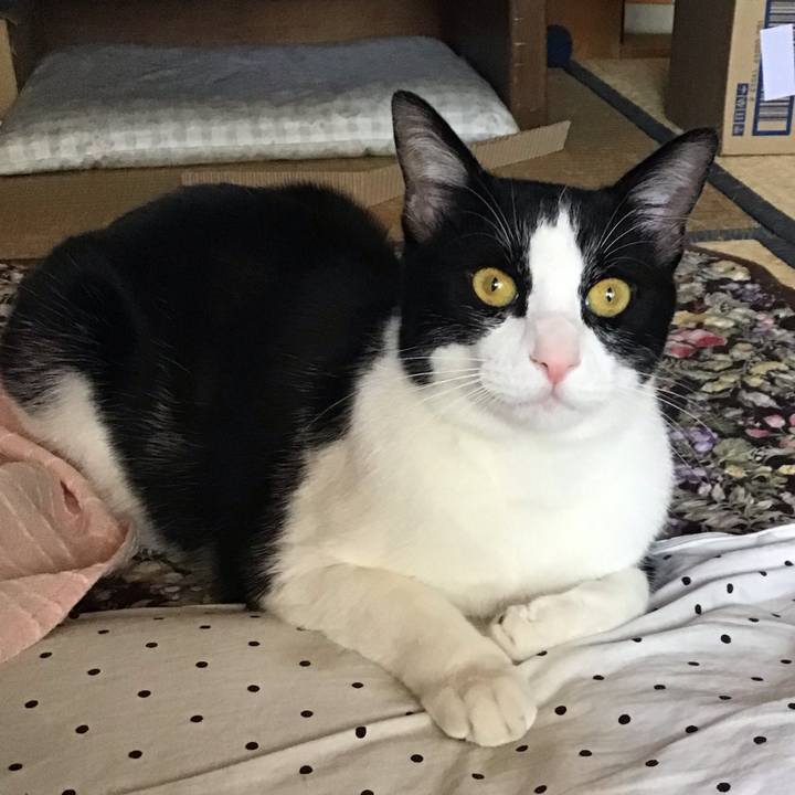 48b90580 d6fe 4a61 b198 ad30b4d57732 1653705738101