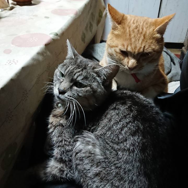 48b928d2 afbc 486a 96fd 0752d6ff0ba1 1575237574347