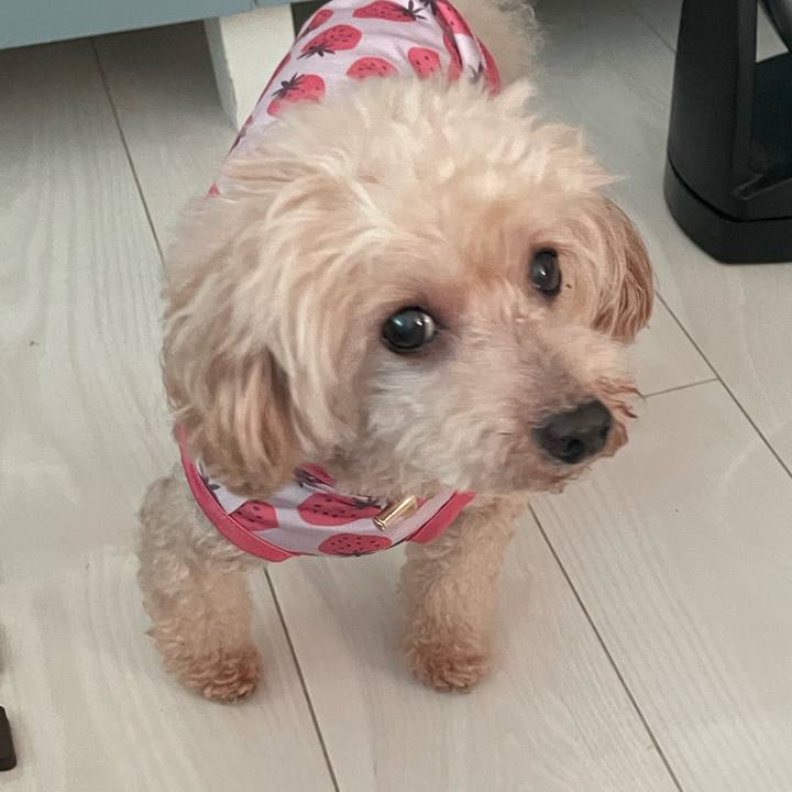 48b92c77 610a 4d6e 910a d184e33c4371 1690152797004