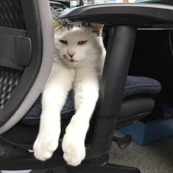 48b9380d 1737 42c2 ab86 ded452aac531 1574226739176