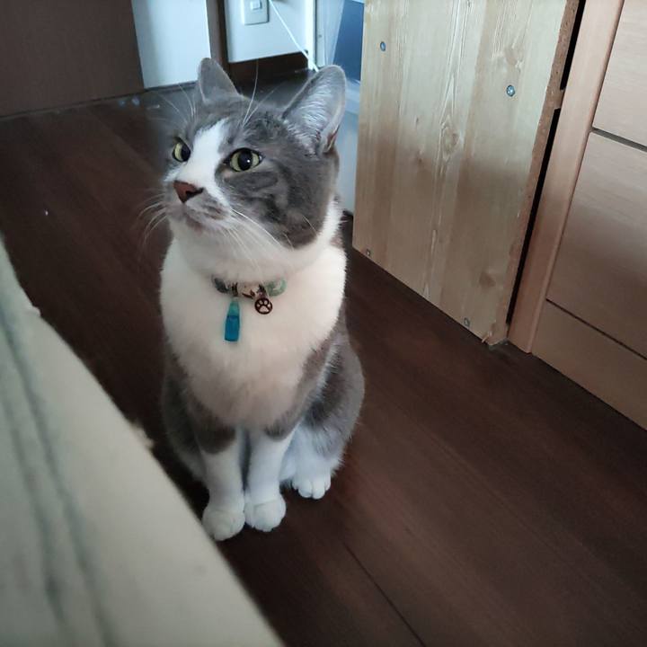 48b97500 faf5 4664 88c1 c342edf7ef3f 1673314874781