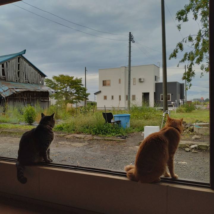 48b98e47 9158 4e11 869c 09d090e3662b 1663882676303