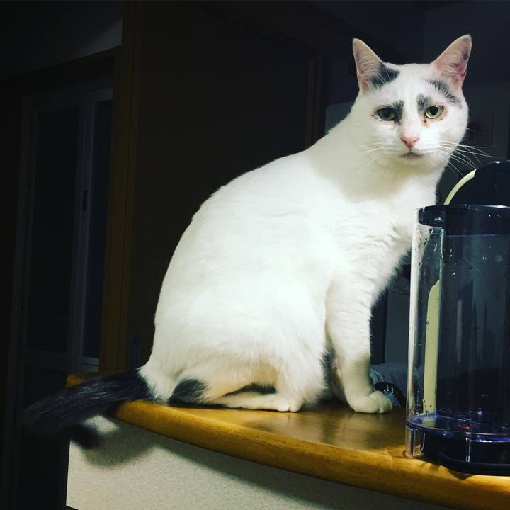 48b9910b 9dc3 4e68 b633 caa0d352fd59 1637499599590