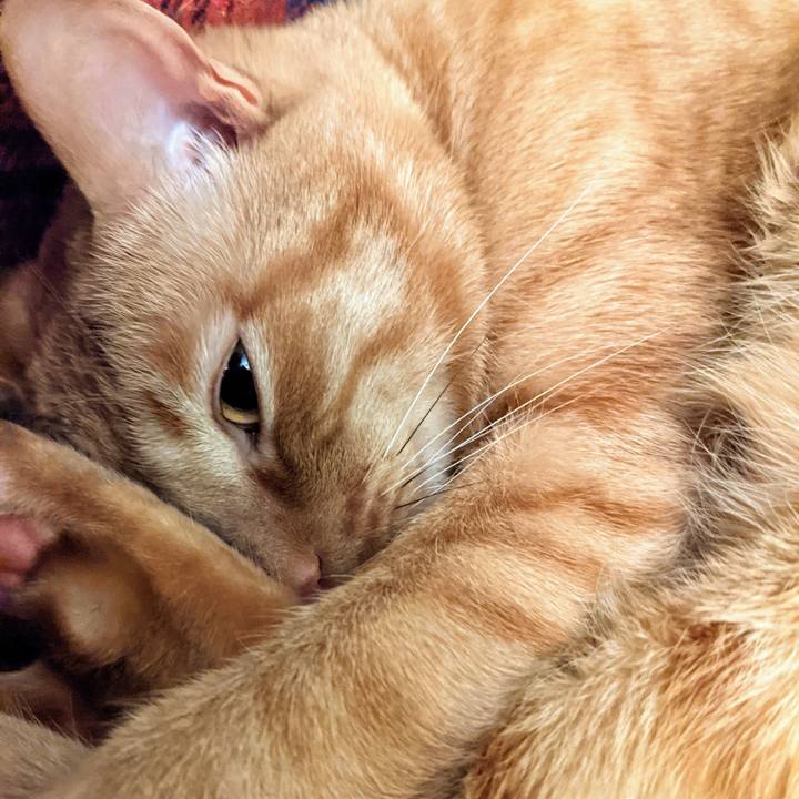 48b9a601 627a 45db b43a 60c9d882f011 1618142017564