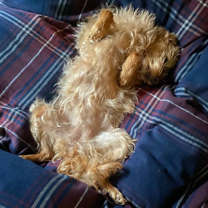 48b9bd80 e6f3 4c8b a3f3 ef27b05694ab 1680728514440