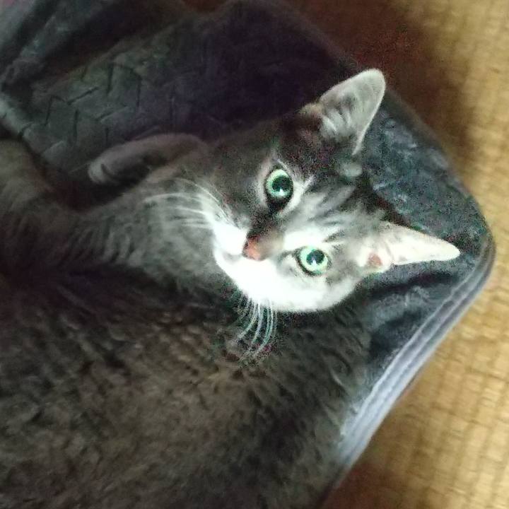 48ba1685 0c4f 4cf3 bdc7 4e340aa75a39 1654920354929