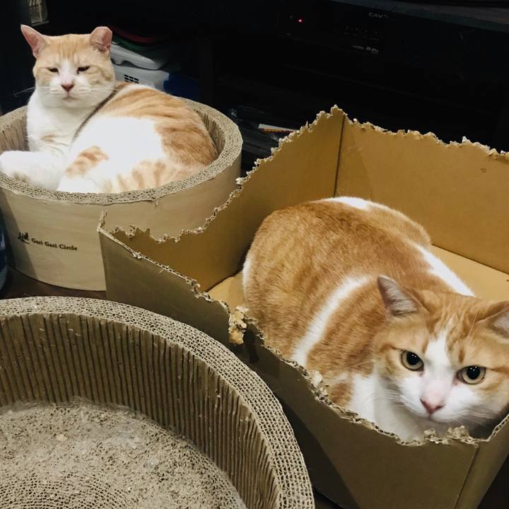 48ba6b1f 9ea2 476f a4ce 224cd09a06af 1560490125627