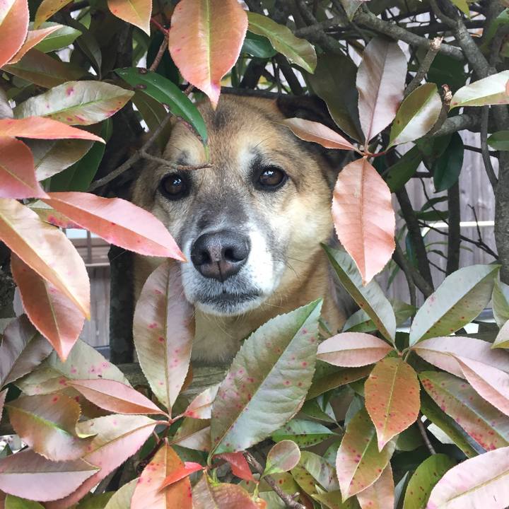 48ba8abf 41e1 48df 9b2c 161c755c270b 1525166680411