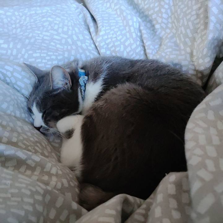 48bad255 be2a 4526 9d3b a93fcae39c06 1705627631528