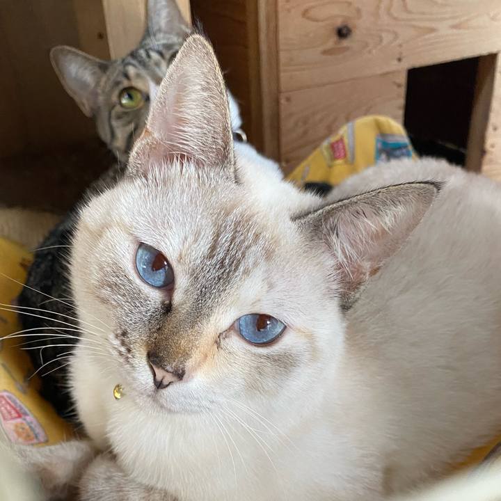 48baf466 53da 4124 863a 0b90a4d698c0 1662594513535