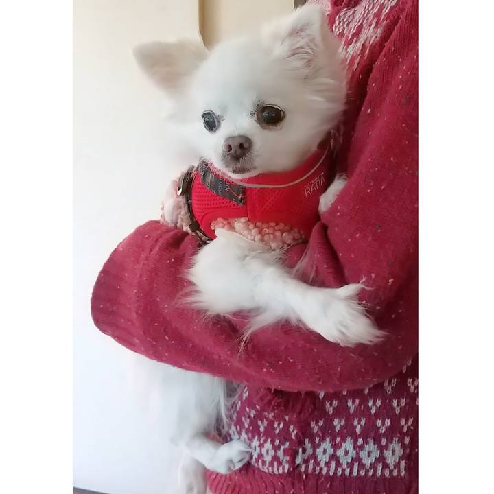 48bb206a 04c0 44b1 9b5e c9922b34febf 1643894985208