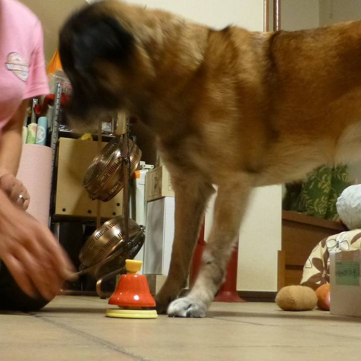 48bb3efb cd39 4bde 8aeb 5ccad285583a 1580735865639