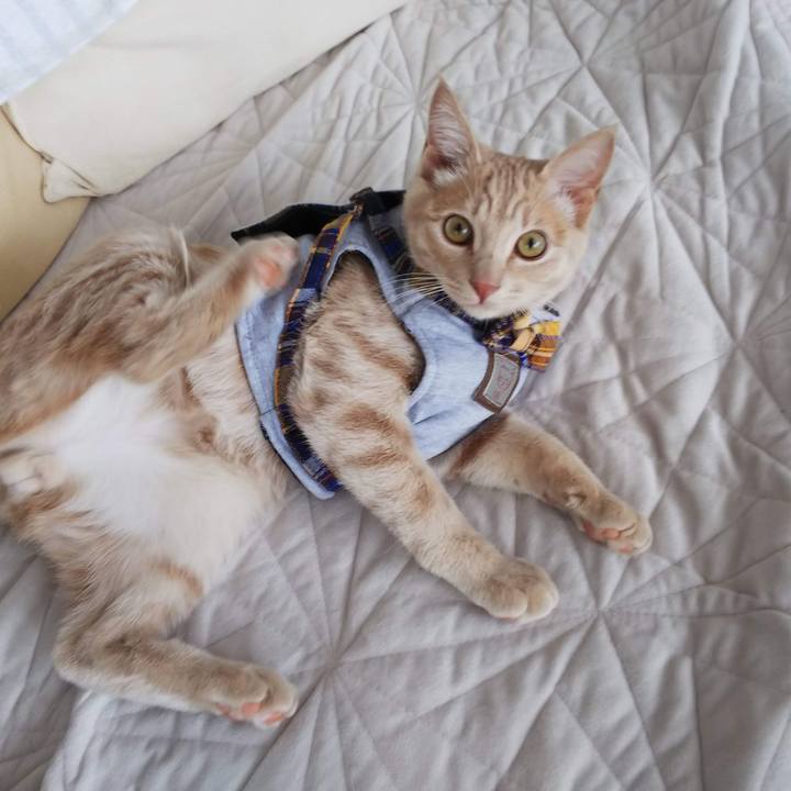 48bb5c17 3c05 40a1 919a da0630da8bcc 1632751551626