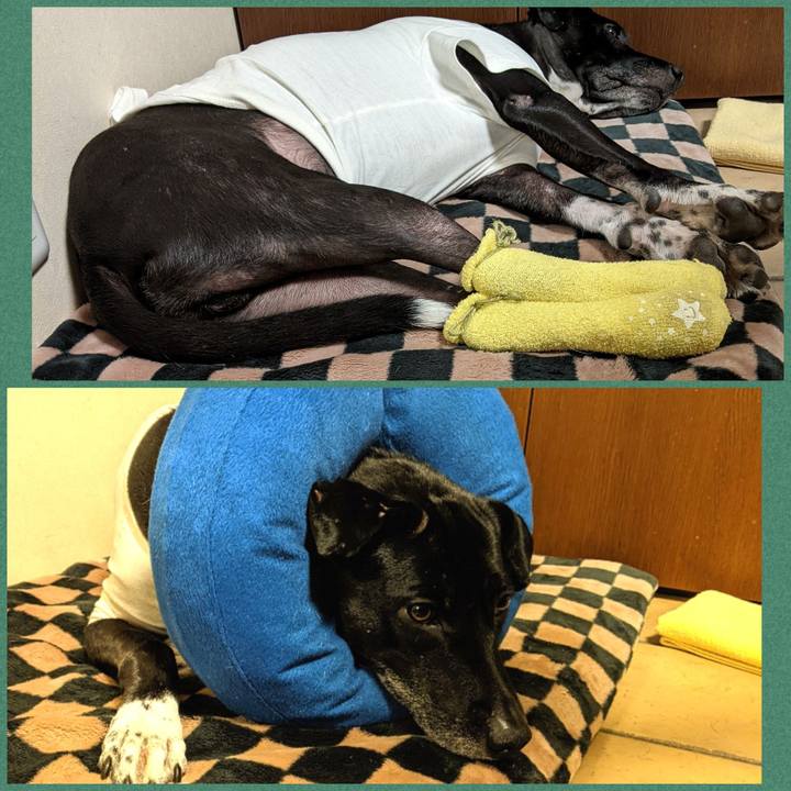 48bb5ee0 00ae 441e 85cb 2adb60f2cdb7 1639872861185