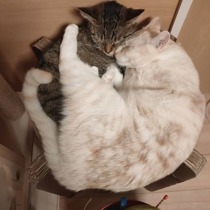 48bbb792 b5b9 460b 8099 da67c2dad21b 1664448294972