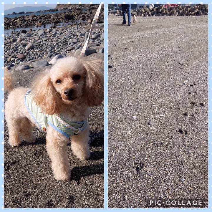 48bbd0f7 506e 4493 b5be 1521d1689922 1541853000102