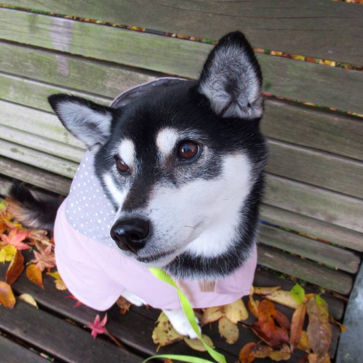 48bbd9c4 4692 4578 8687 230993ff5bc2 1606874022029