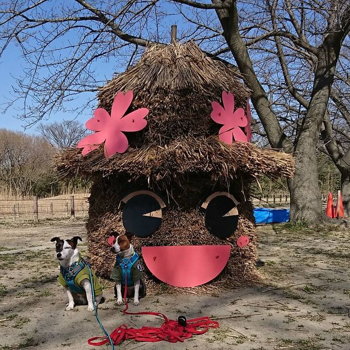 48bc2cd4 a6a1 4a1f 8d8d 97b0f2d72b70 1582523905055