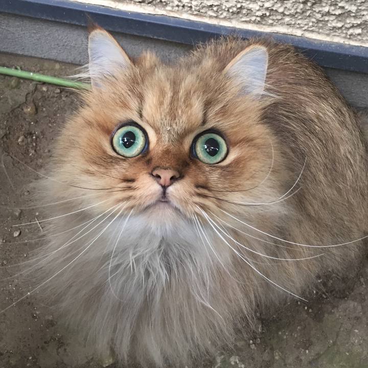 48bc2f4b 6356 4b7b 8631 f317bba8e773 1561418392061