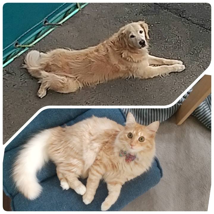 48bc3627 7fe0 42e6 bfc3 84988d521437 1630989649462