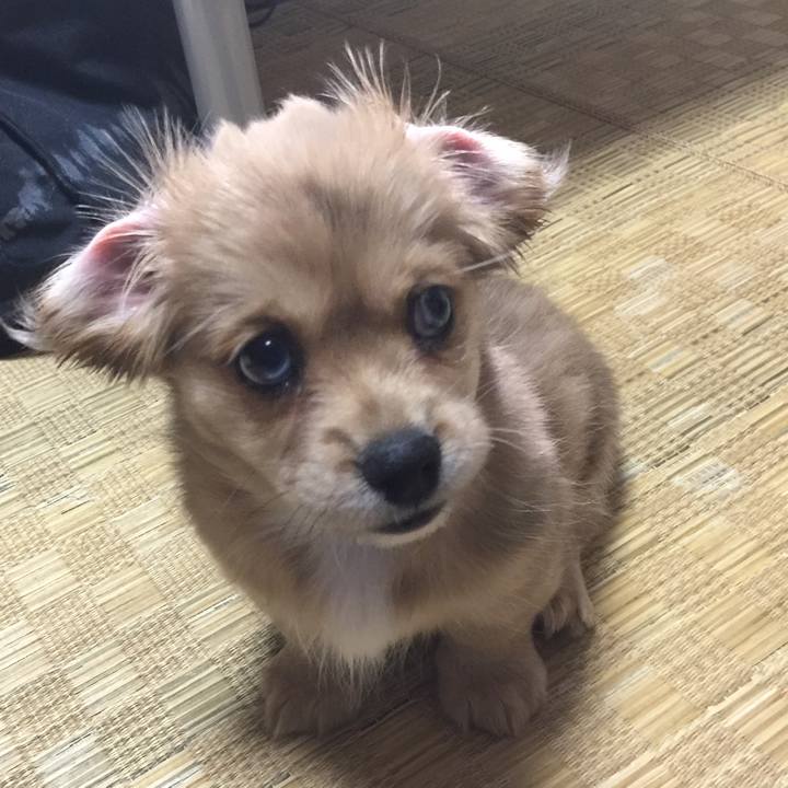 48bc3df0 b4b0 435d a225 ddd914a9db85 1590011184241