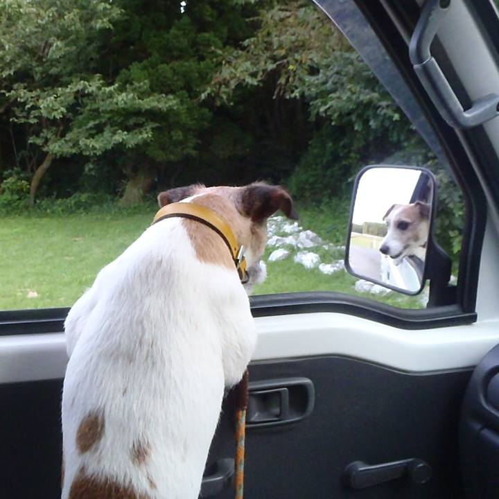 48bc4ed0 b346 4907 851b 98ebbb75f4b5 1526268690906